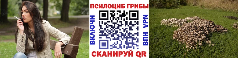 МЕГА ONION  Тырныауз  Галлюциногенные грибы MAGIC MUSHROOMS 